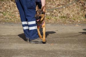 17.02.2019 Training Nanzenbach